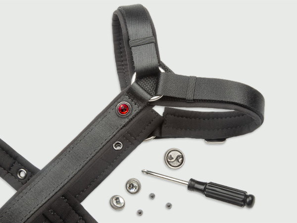 Swappable charms