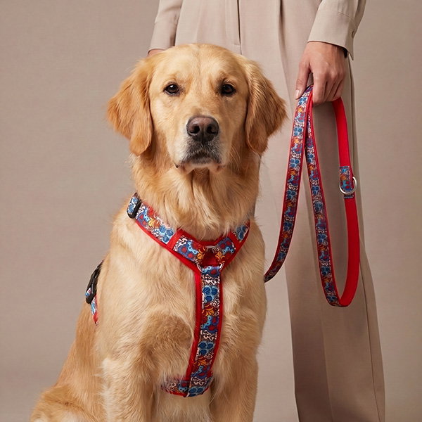 MiaMilo Leash