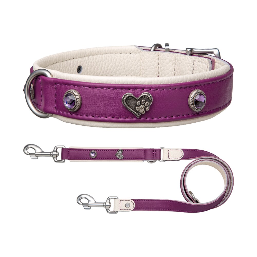 Amethyst Allure Bundle