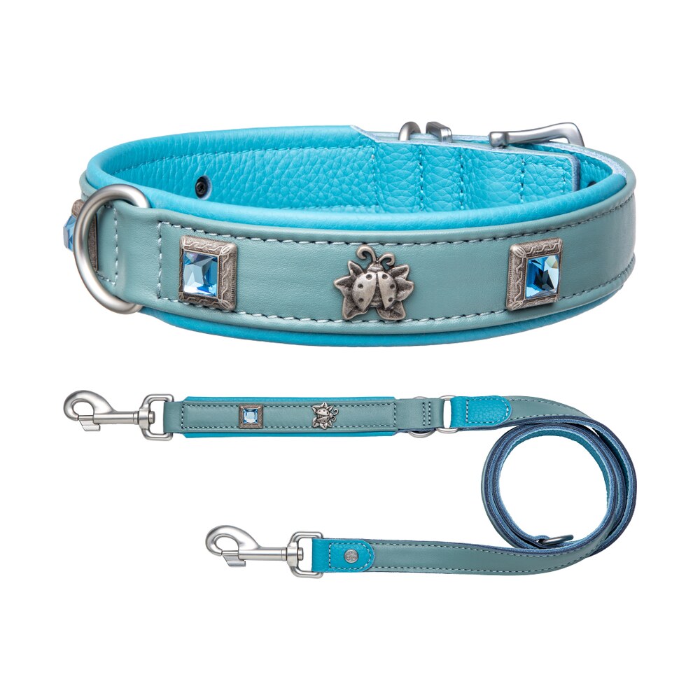 Aquamarine Shine Bundle