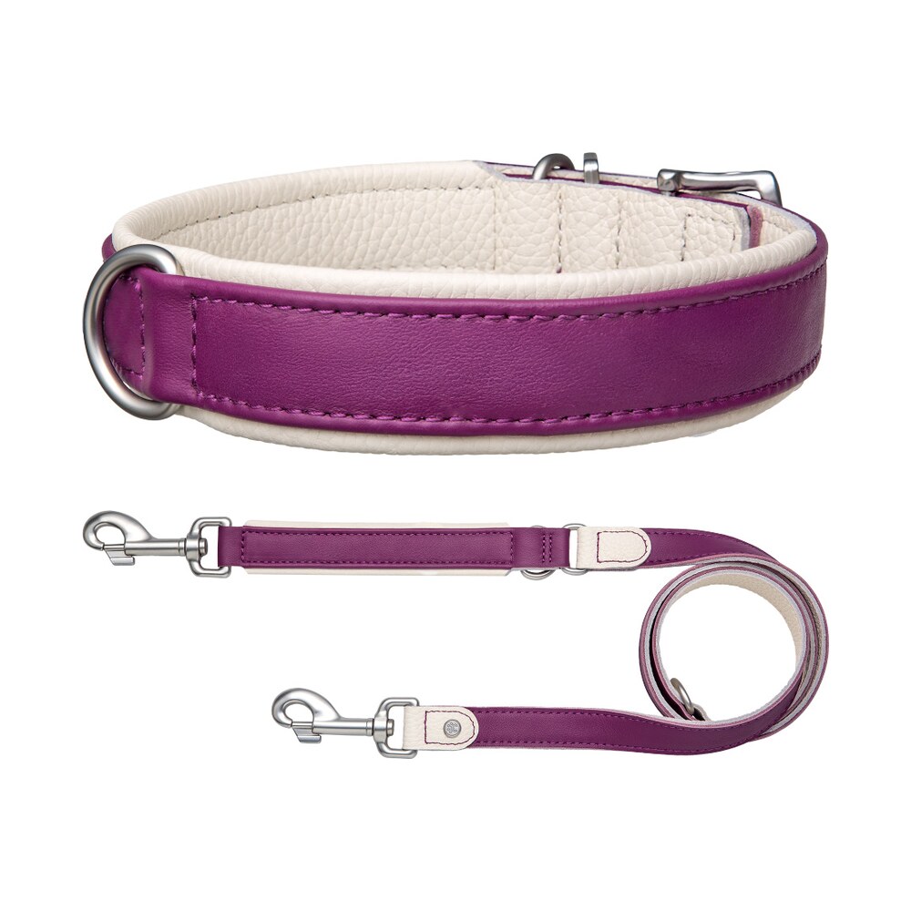 Plum Frost Bundle