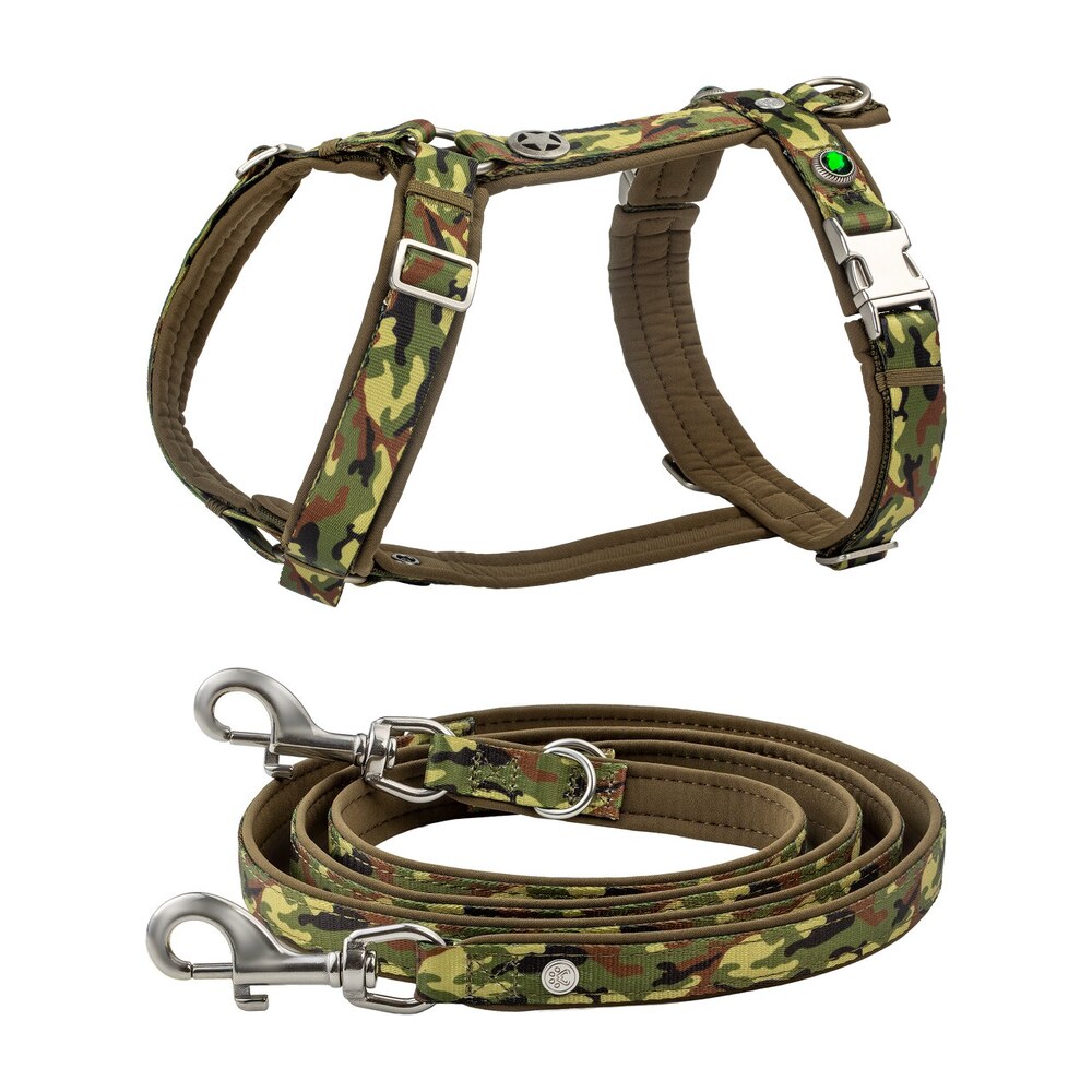Soho Wild Scout Bundle