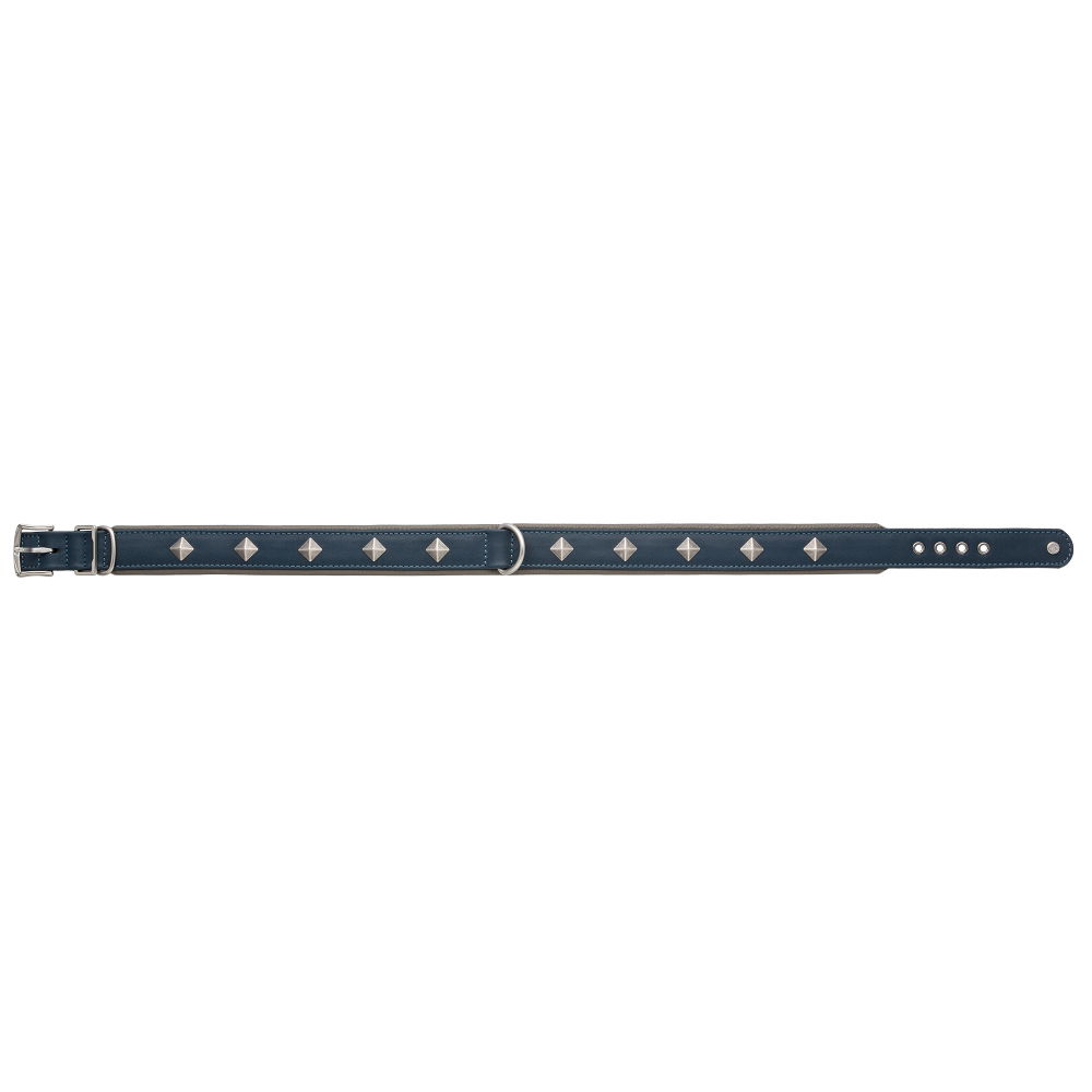 MiaMilo Concrete Jungle Leather Dog Collar — XXL