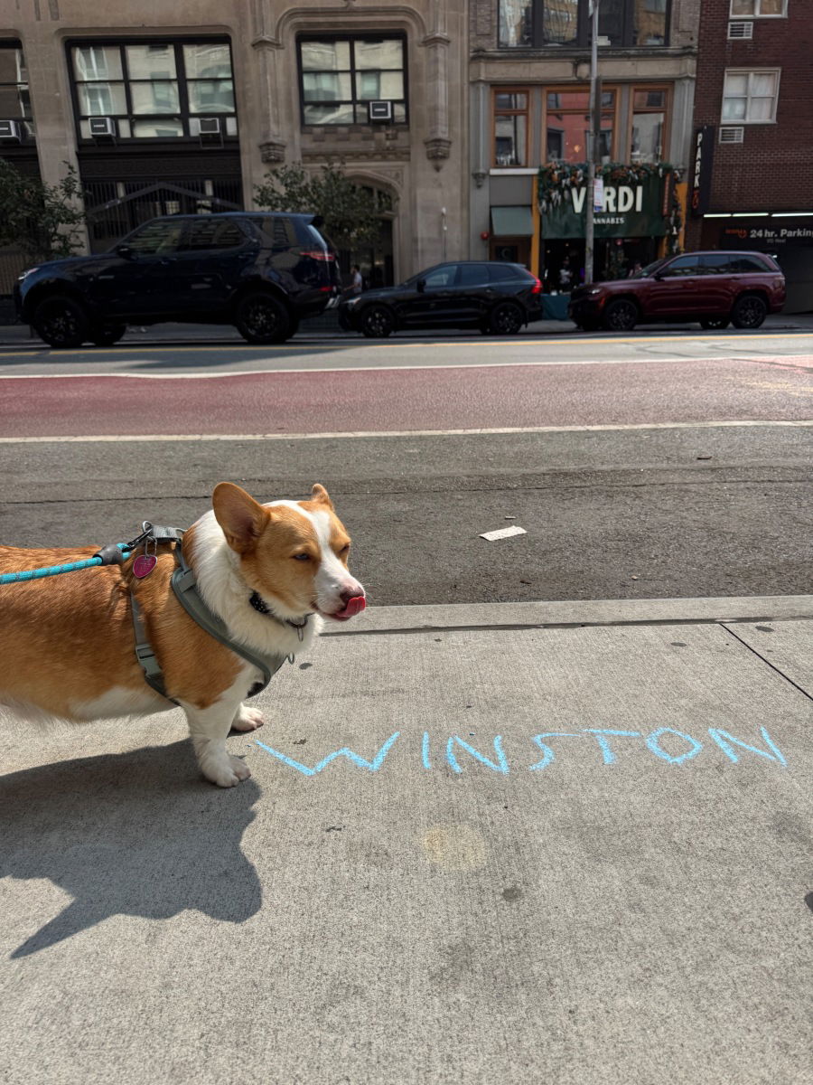 Winston